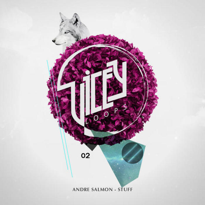 SALMON, Andre - Stuff