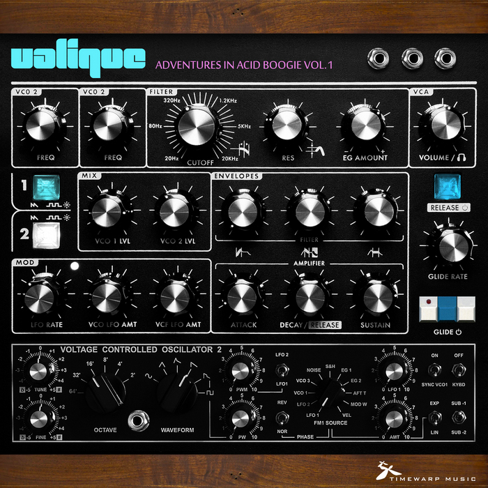VALIQUE - Adventures In Acid Boogie Vol 1
