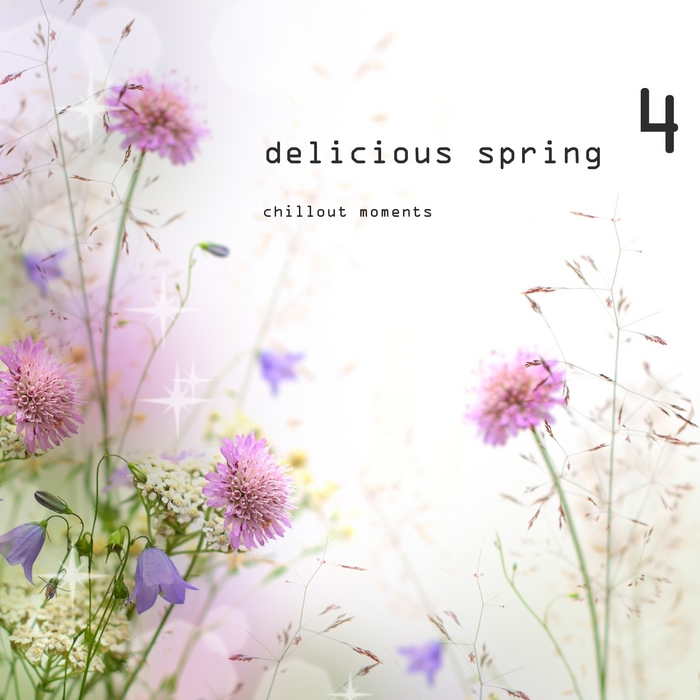 VARIOUS - Delicious Spring 4: Chillout Moments