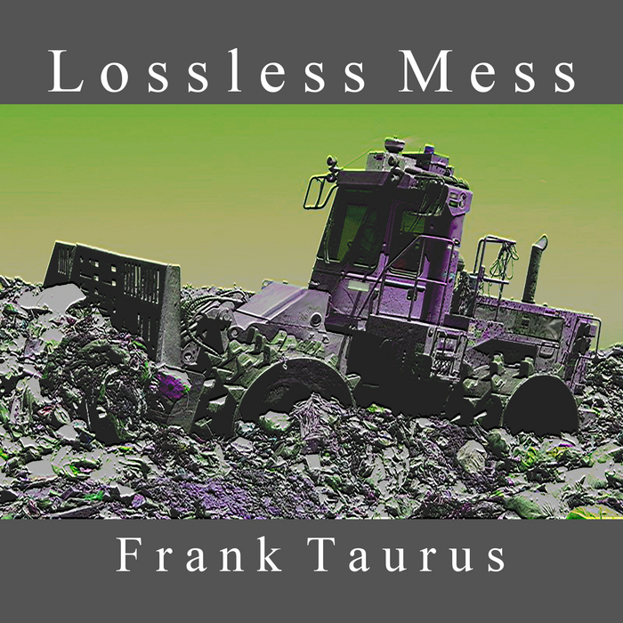 TAURUS, Frank - Lossless Mess