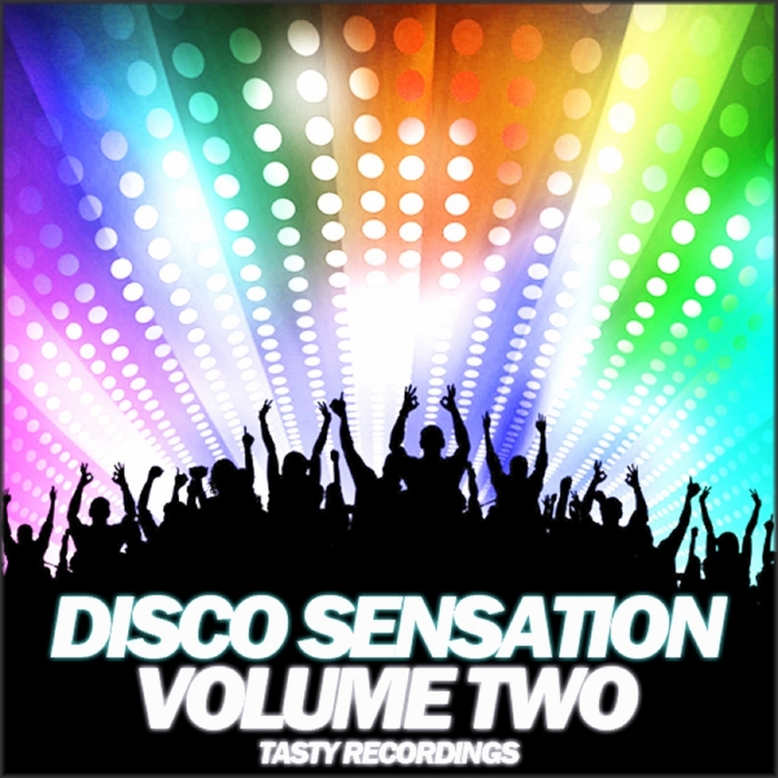 VARIOUS - Disco Sensation - Volume Two