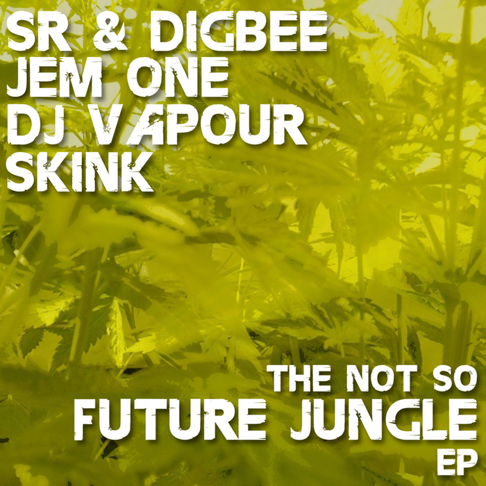 SR & DIGBEE/JEM ONE/JEM ONE/SKINK - The Not So Future Jungle