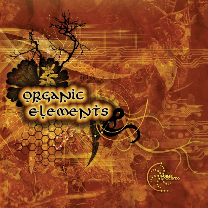 VARIOUS - Organic Elements