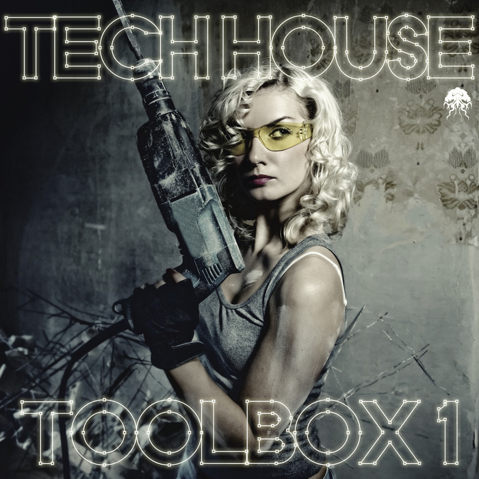 VARIOUS - Tech House Toolbox 1