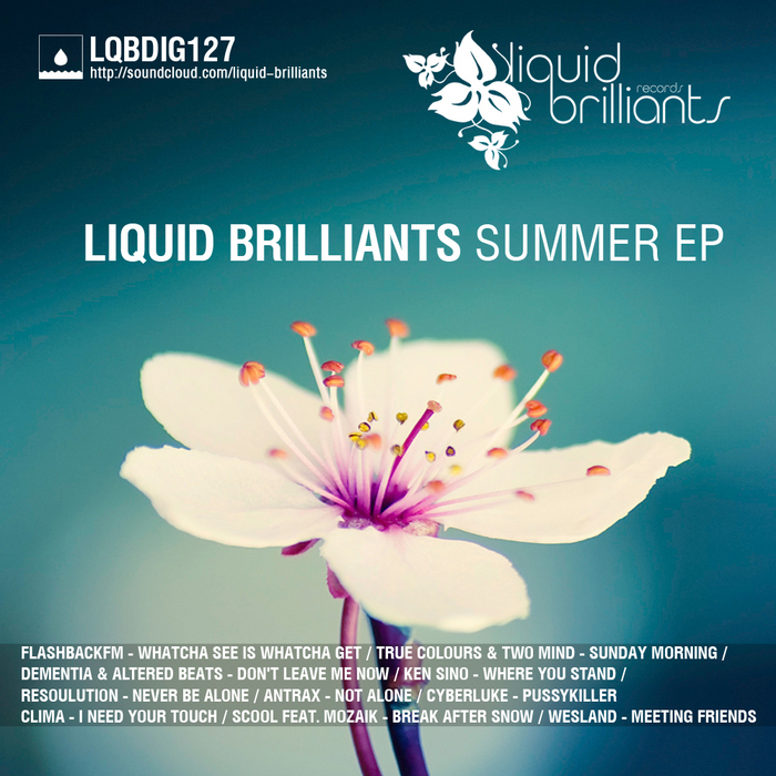 VARIOUS - Liquid Brilliants Summer EP