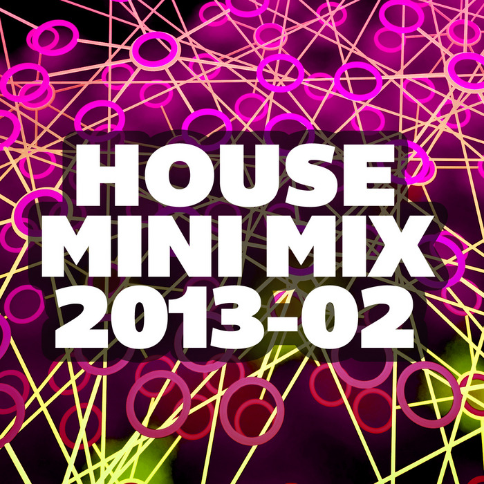 VARIOUS - House Mini Mix 2013-02