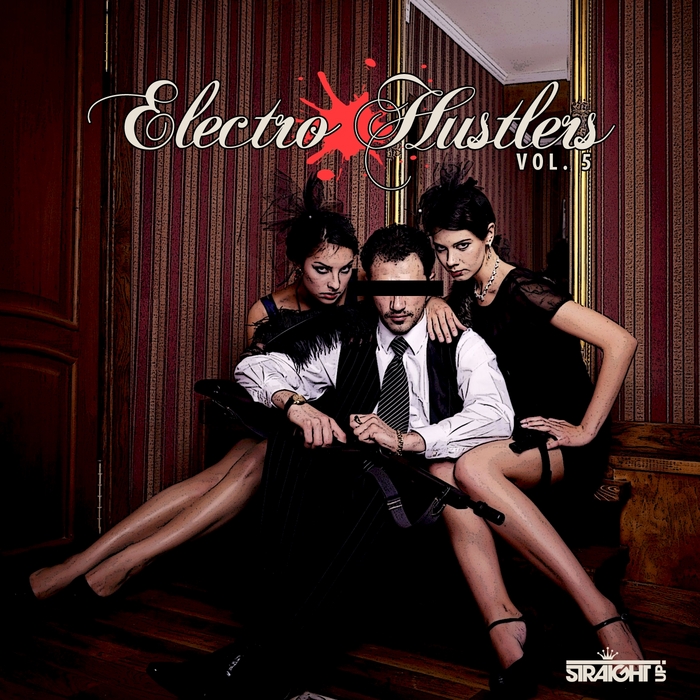VARIOUS - Electro Hustlers Vol 5