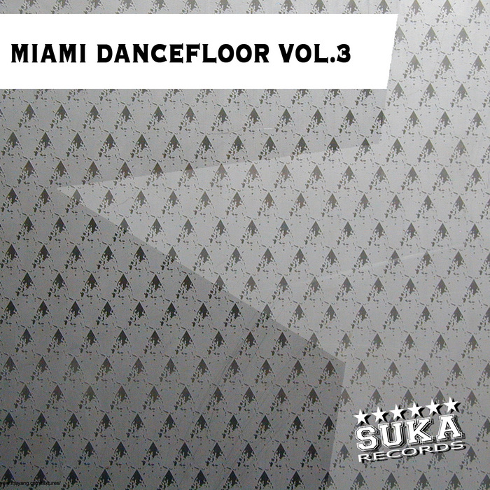 VARIOUS - Miami Dancefloor Vol 2