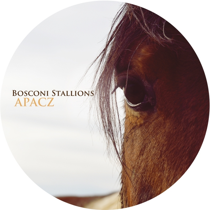 HERVA/RONDENION/RICCIO/SAN PROPER/THE CLOVER - Bosconi Stallions: Apacz