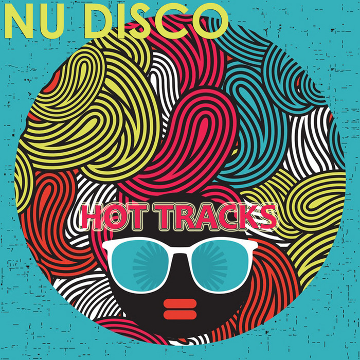 VARIOUS - Nu Disco Hot Tracks 2013
