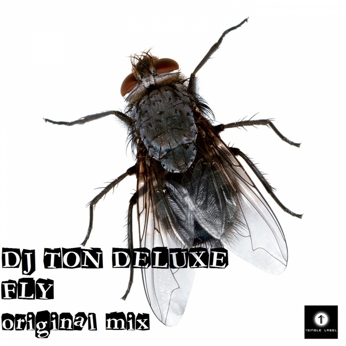 DJ TON DELUXE - Fly