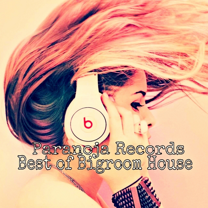 VARIOUS - Best Of Bigroom House