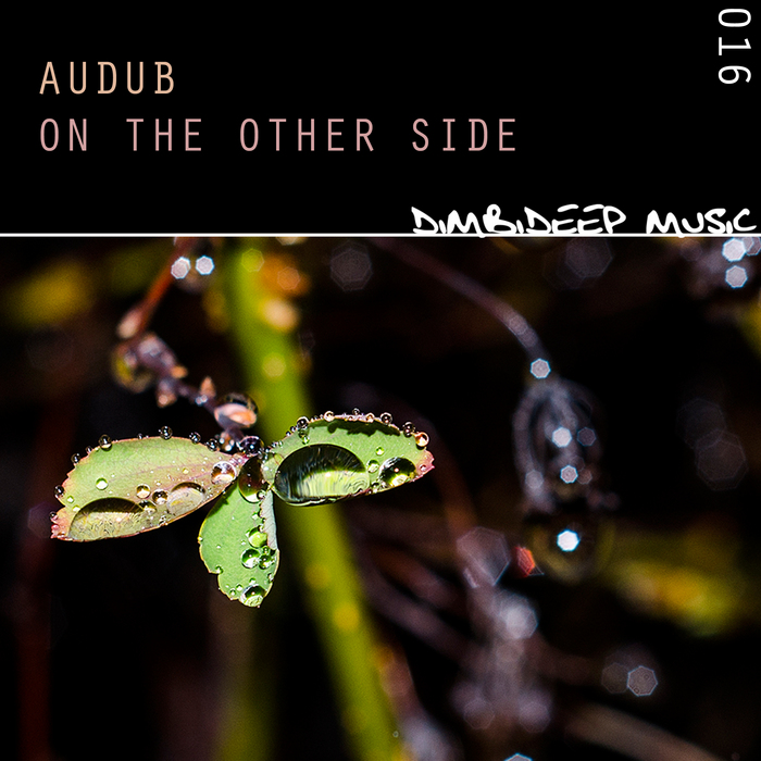 AUDUB - On The Other Side