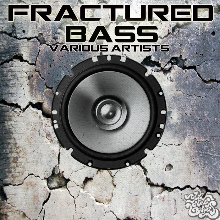 VARIOUS - Fractured Bass