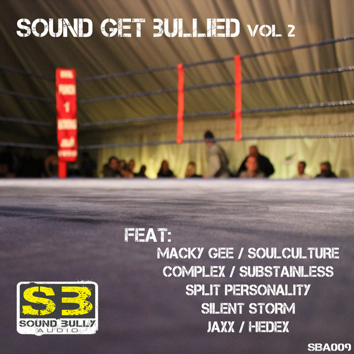VARIOUS - Sound Get Bullied Vol 2