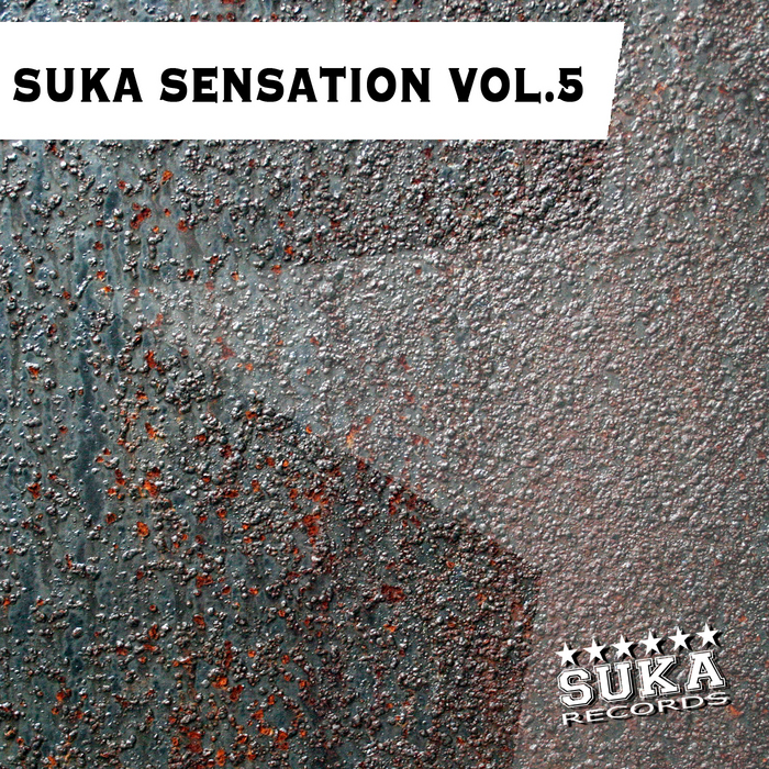 VARIOUS - Suka Sensation Vol 5