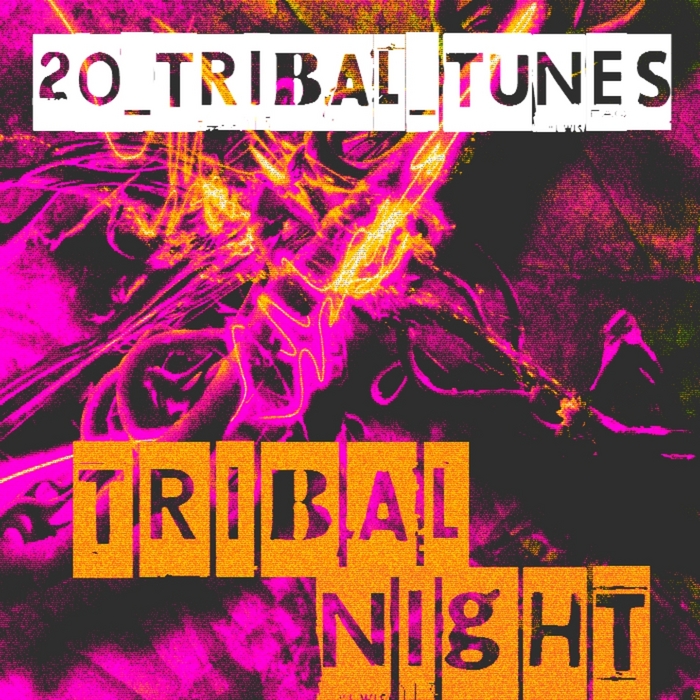 VARIOUS - Tribal Night 20 Tribal Tunes