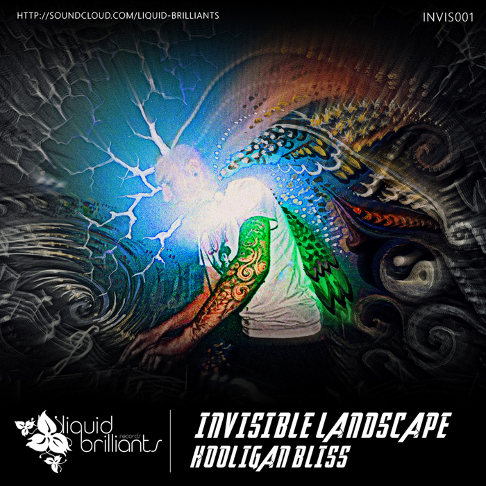 INVISIBLE LANDSCAPE - Hooligan Bliss