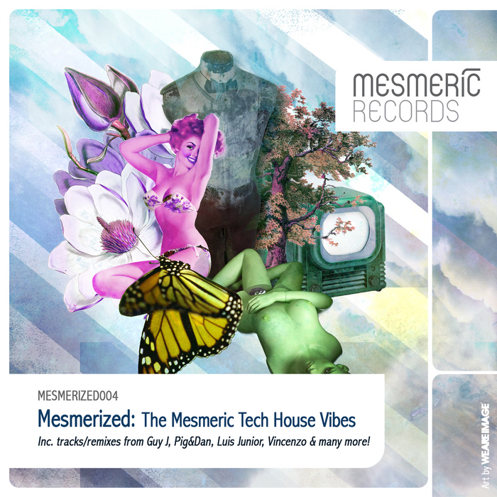 VARIOUS - The Mesmeric Tech House Vibes