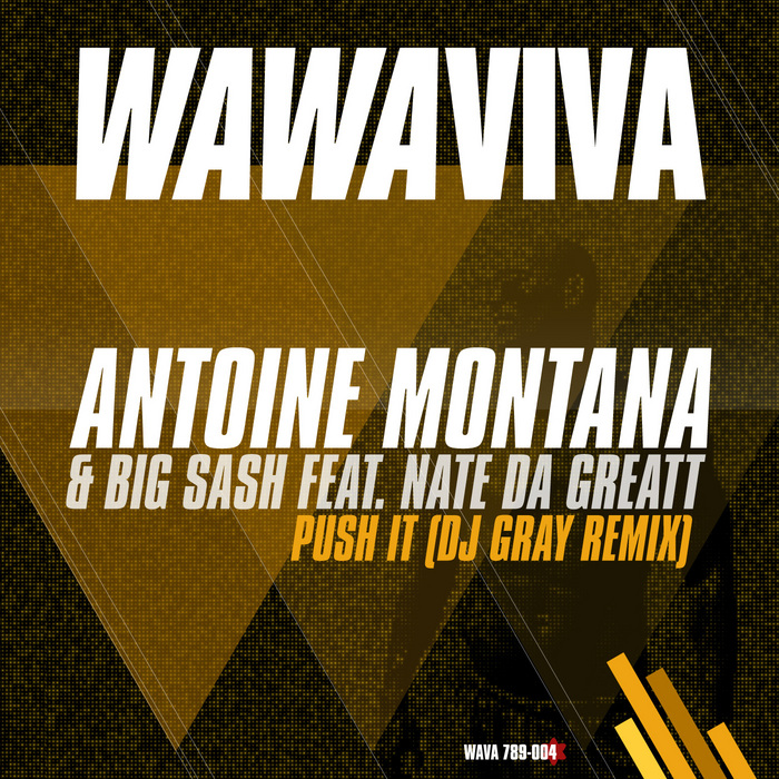 MONTANA, Antoine/BIG SASH feat NATE DA GREATT - Push It