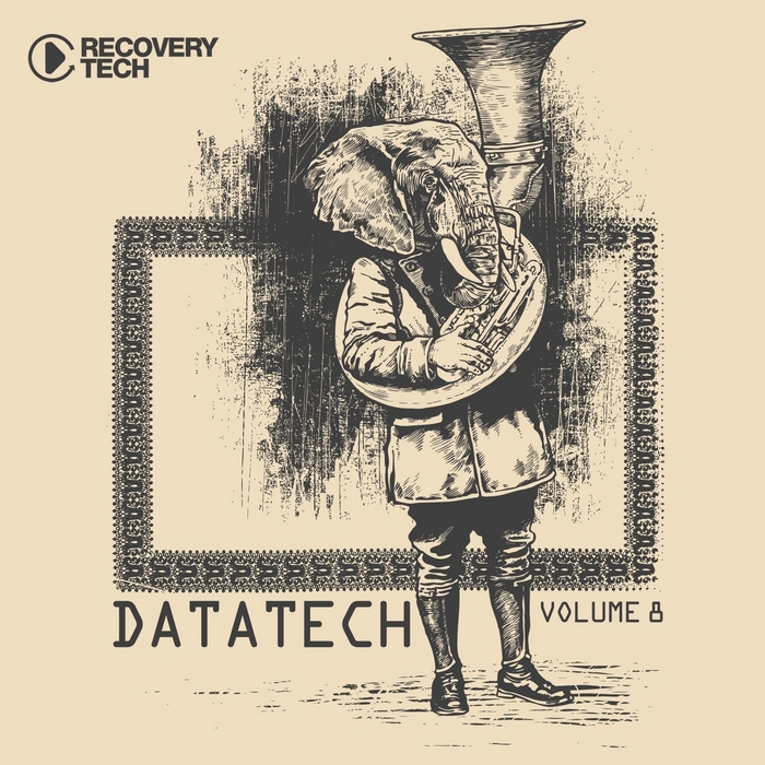 VARIOUS - Datatech Vol 8