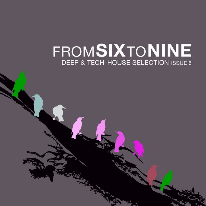 VARIOUS - FromSixToNine Issue Vol 6 (Deep & Tech House Selection)