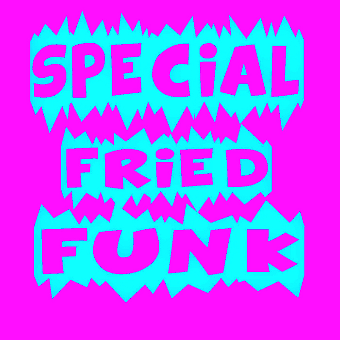 VARIOUS - Special Fried Funk Vol 2