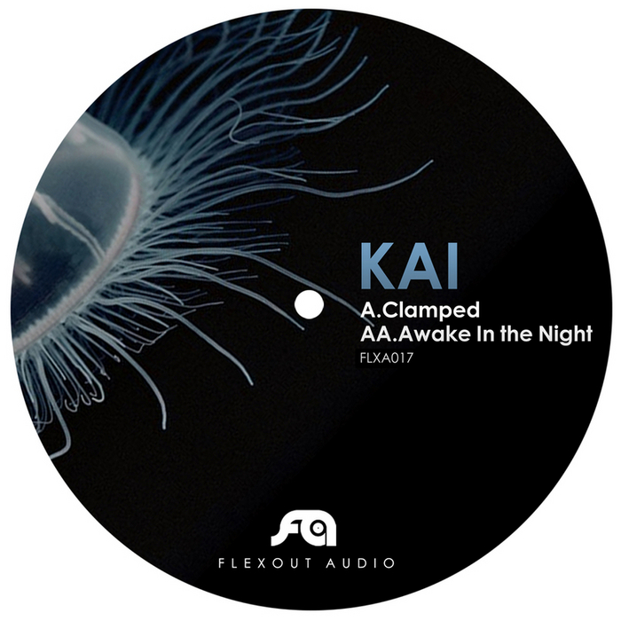 KAI - Clamped/Awake In The Night