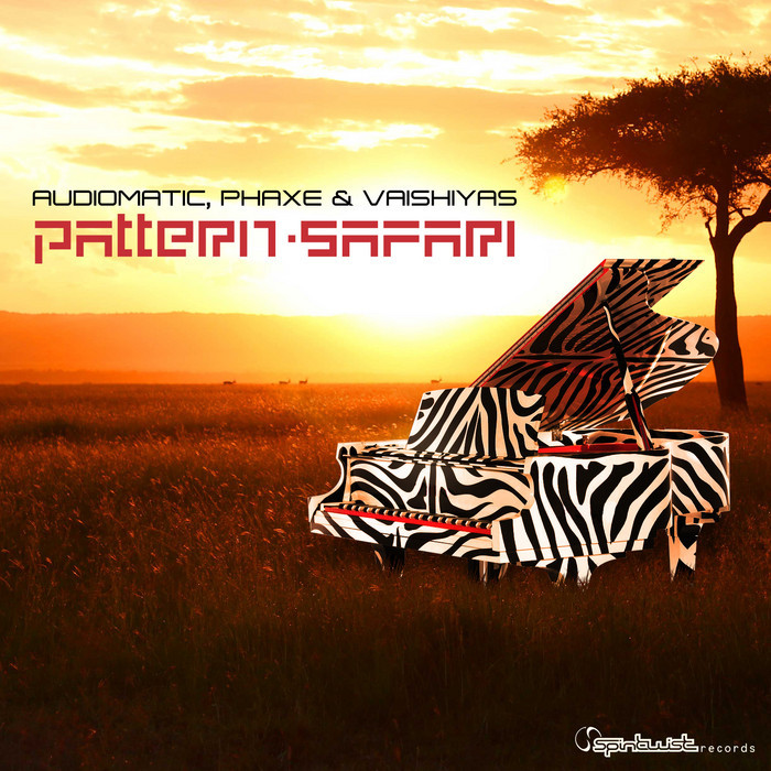 Audiomatic/Phaxe/Vaishiyas - Pattern Safari