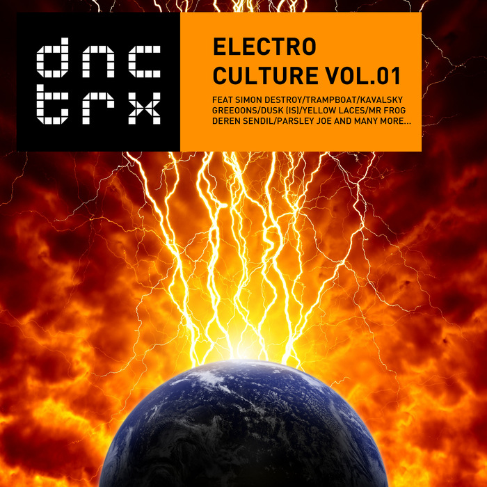 VARIOUS - Electro Culture Vol 01