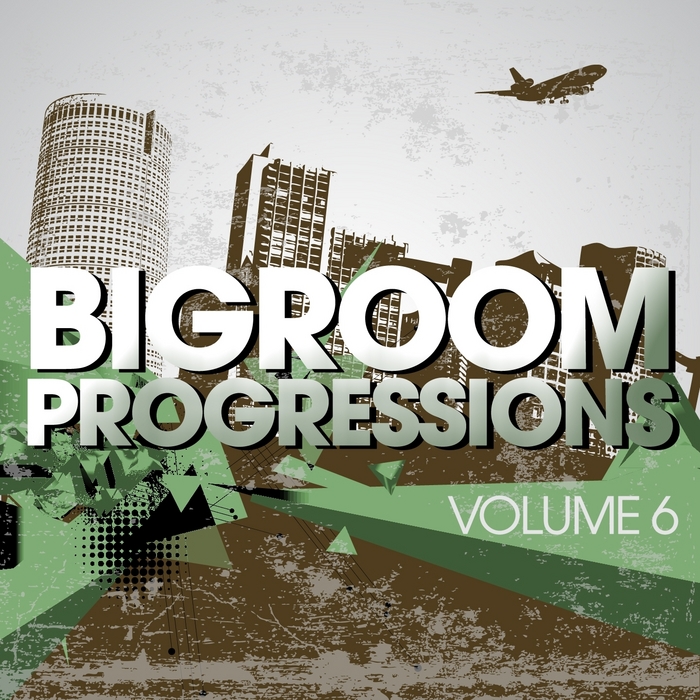 VARIOUS - Bigroom Progressions Vol 6