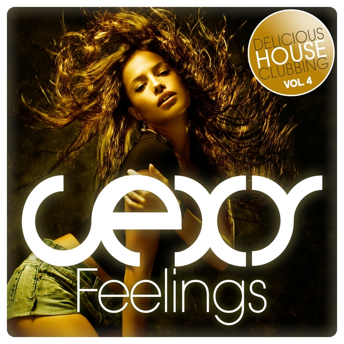 VARIOUS - Sexy Feelings Delicious House Clubbing Vol 4