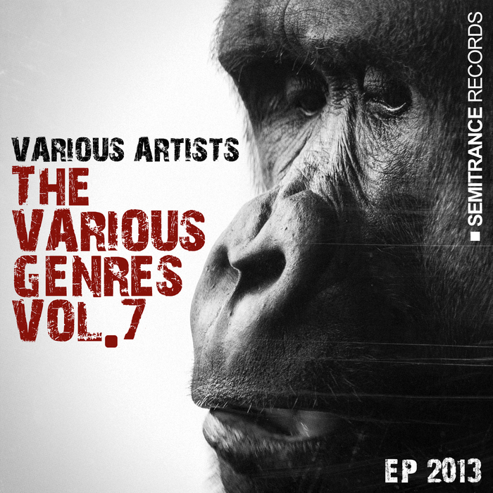 TRUNK/TIM ROCKTEK/KAYZAR T/LUKAS APOLEN/AMEN B/PEET BECK/DJ LOFSTRAND/PETE SOUL - The Various Genres Vol 7 EP 2013