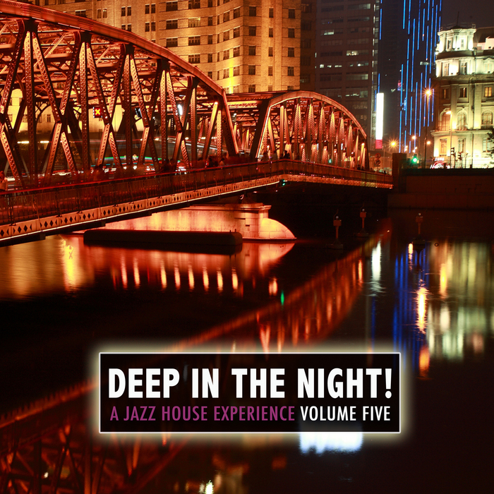 VARIOUS - Deep In The Night Vol 5 A Jazz House Experience
