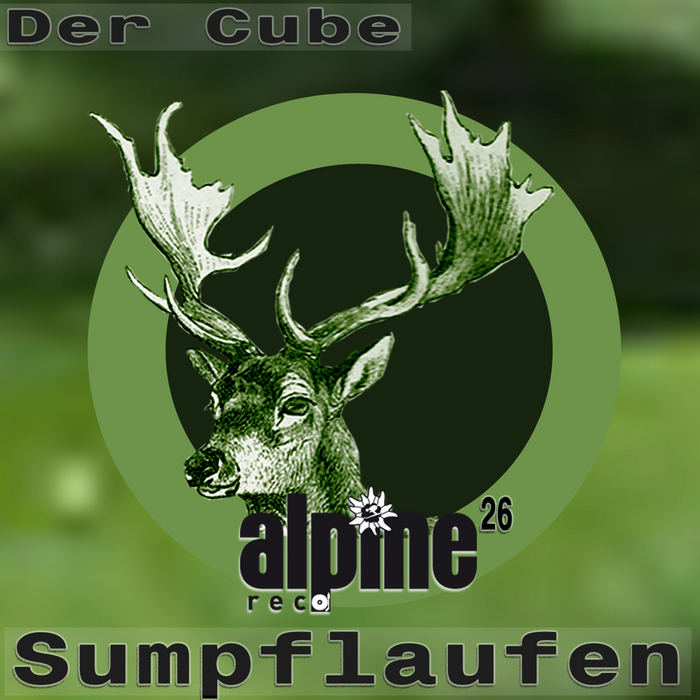 DER CUBE - Sumpflaufen