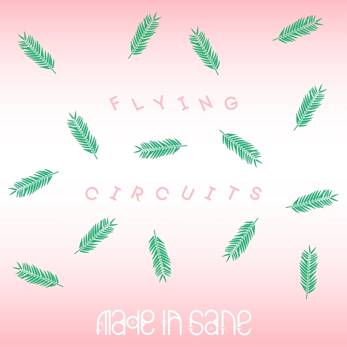 MADE IN SANE - Flying Circuits