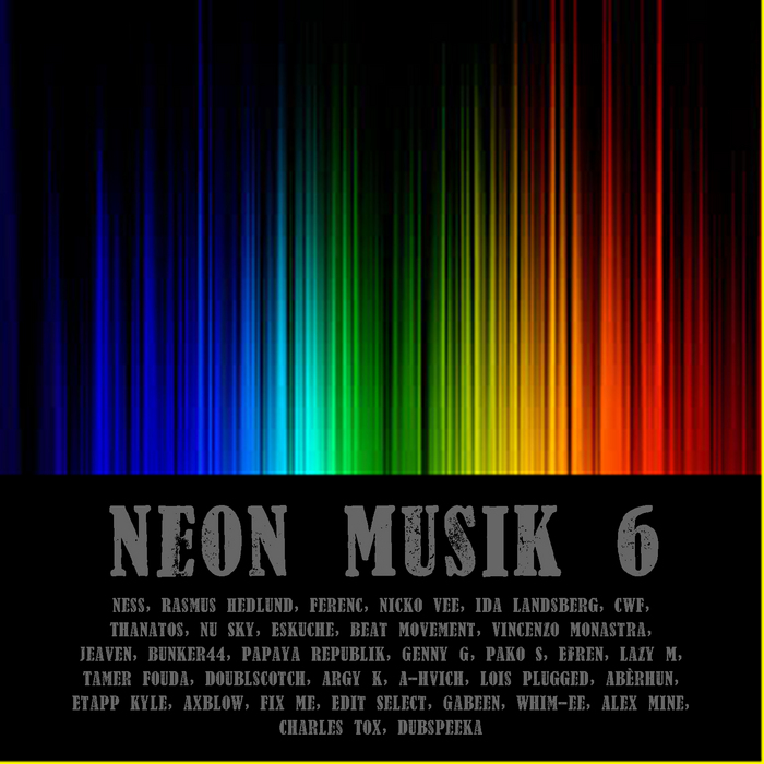 VARIOUS - Neon Musik 6