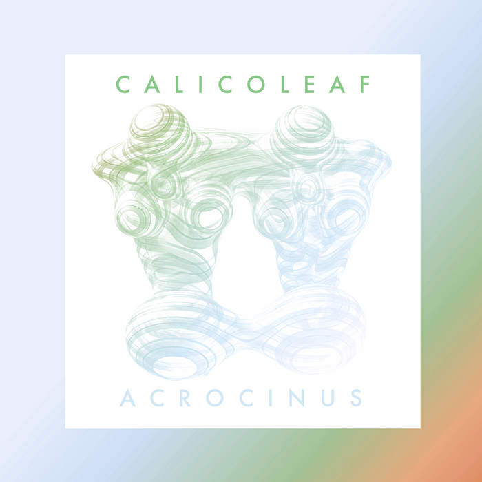 CALICOLEAF - Acrocinus