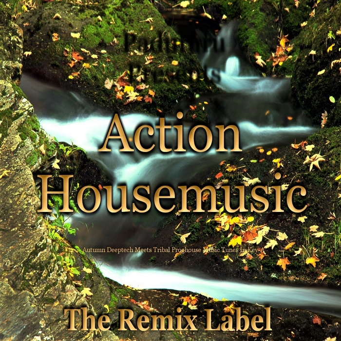 VARIOUS - Action Housemusic (Autumn Deeptech Meets Tribal Proghouse Music Tunes In Key A)