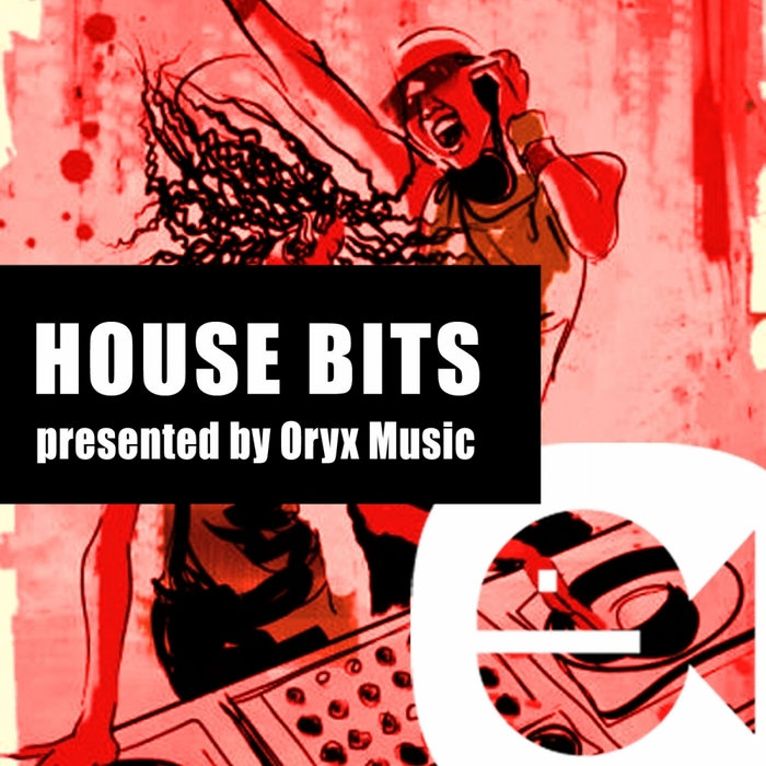 VARIOUS - Best Of House Bits Vol 17