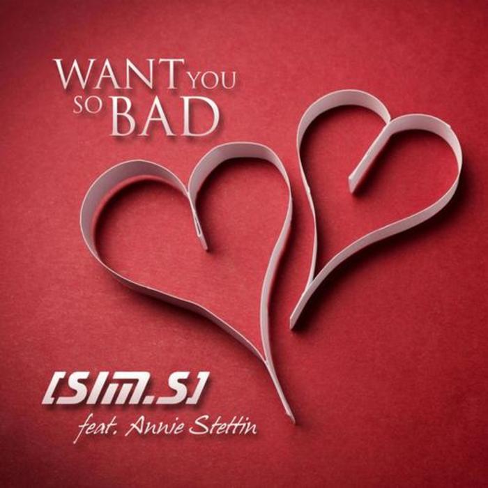 SIMS feat ANNIE STETTIN - Want You So Bad