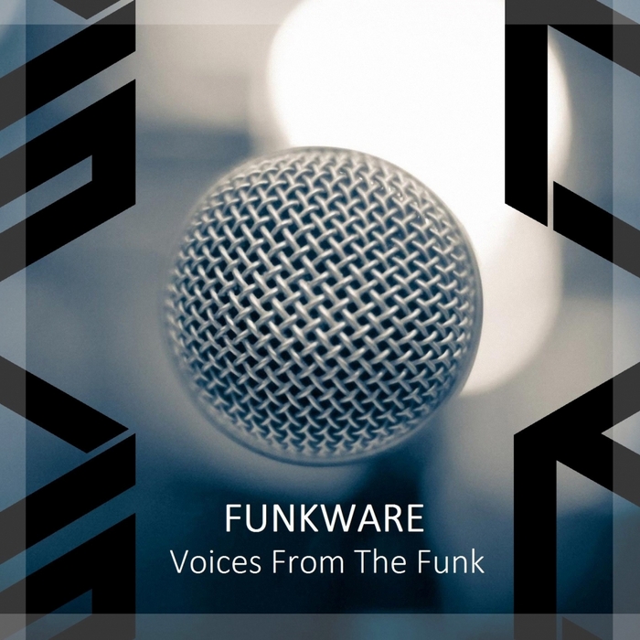 FUNKWARE - Voices From The Funk