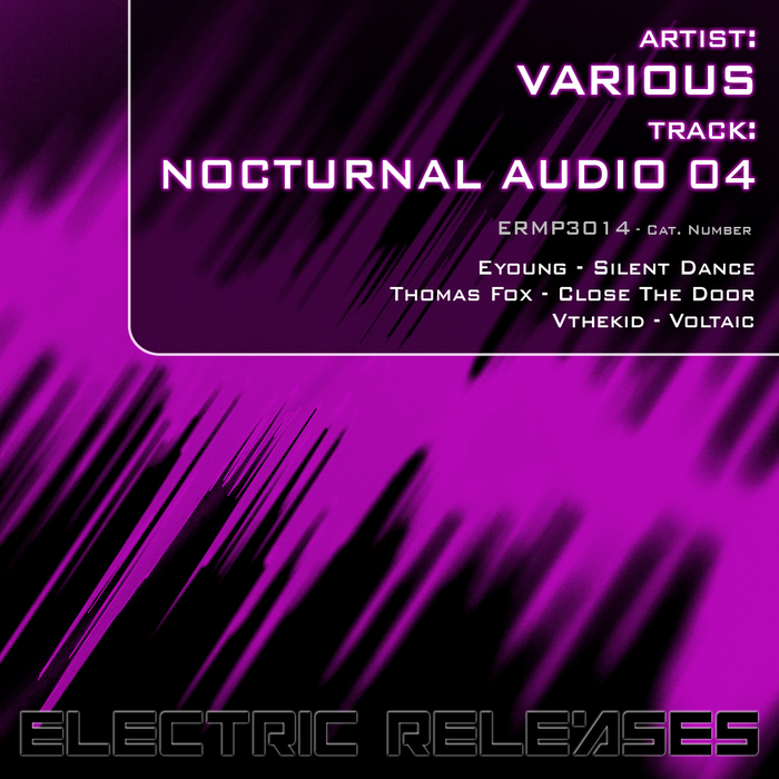 VARIOUS - Nocturnal Audio 04