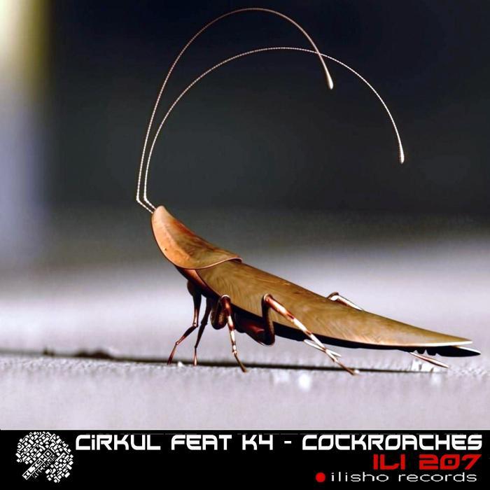 CIRKUL feat K4 - Cockroaches