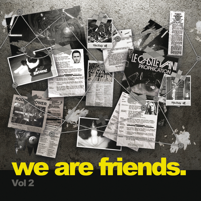 VARIOUS - We Are Friends. (Vol 2)