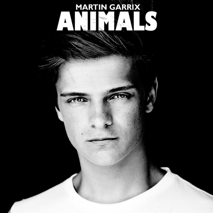 Animal Martin Garrix Mp3 Free Download