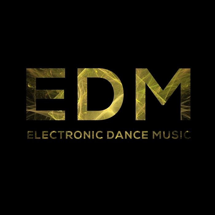 Image result for edm music