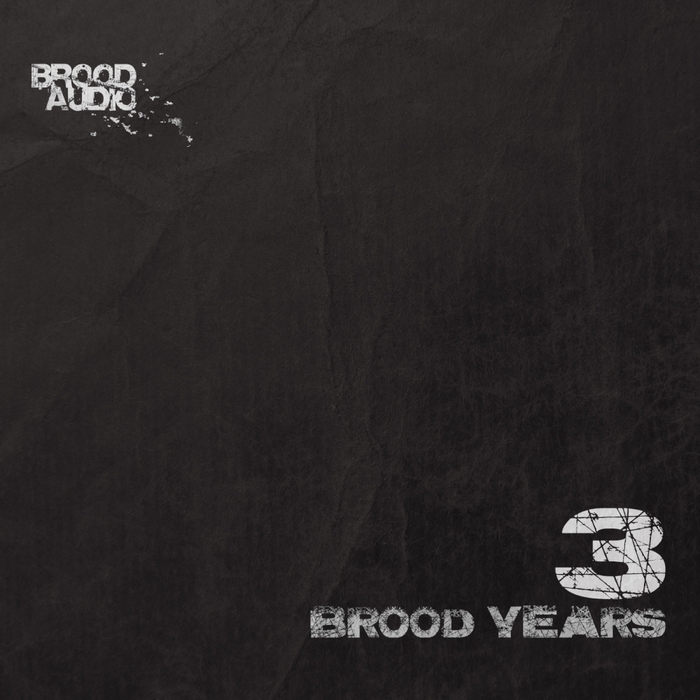 VARIOUS - 3 Brood Years