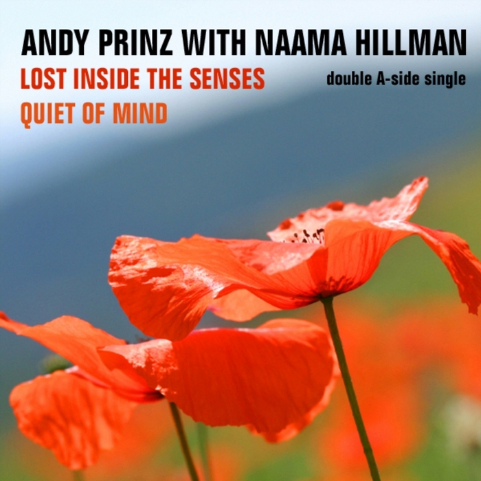 PRINZ, Andy feat NAAMA HILLMAN - Lost Inside The Senses