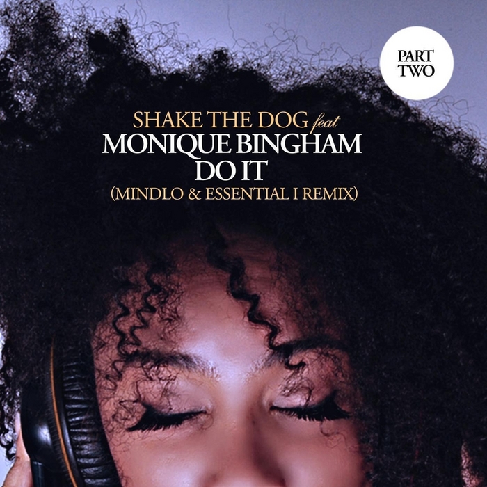 SHAKE THE DOG feat MONIQUE BINGHAM - Do It (Mindlo & Essential I Remix)